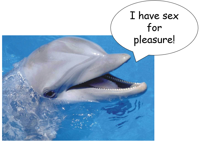 What Mammals Have Sex For Pleasure 66